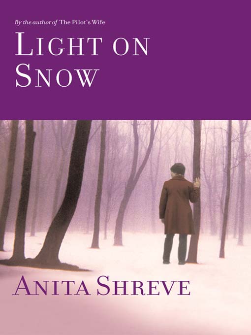 Title details for Light on Snow by Anita Shreve - Wait list